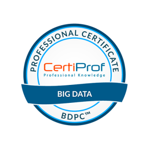 Big Data Professional Certificate BDPC™