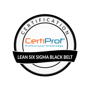 Lean Six Sigma Black Belt Professional Certification LSSBBPC™