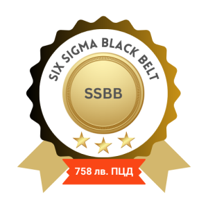 Six Sigma Black Belt